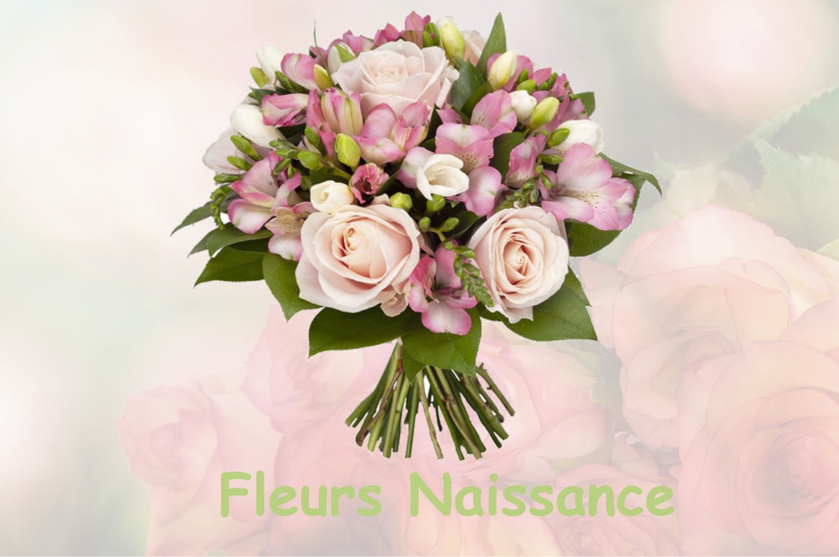 fleurs naissance IZON-LA-BRUISSE